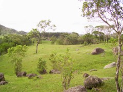 Terreno a venda centro, Garopaba - SC - R$ 350.000,00 id:52720